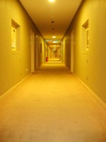 Sol en polyester de haute qualité personnalisé rouleau tufté polaire carrelage hôtel tissé mur à mur couloir tapis pour Hall