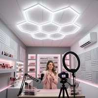 Luz LED Hexagonal Personalizable de 6500K y 120lm/W para Estudio Personal, Transmisión en Vivo, E-commerce y Creadores de Videos DIY