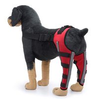 Attelle de genou de jambe arrière de chien réfléchissante pour chiens, jambes postérieures déchirées d'ACL récupèrent le protecteur d'enveloppe de joint de blessure de soutien de chien