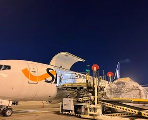 ई-एक्सप्रेस द्वारा सस्ती शिपिंग दर एयर कार्गो dp चीन को ऑस्ट्रेलियाई/कनाडा/डेनमार्क/uae/जापान एफबा के लिए ई-एक्सप्रेस द्वारा - Product Image 6