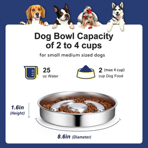 Durable 25 Oz 304 Stainless Steel Bowls Pet Dog Feeding Food Elevated <b>Feeder</b> Metal Eating <b>Slow</b> Bowl - Product Image 4