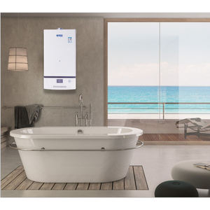 Fonction moderne de <span class=keywords><strong>chauffage</strong></span> domestique et d'eau chaude Apparence délicate <span class=keywords><strong>au</strong></span> propane <span class=keywords><strong>Meilleur</strong></span> accueil Chaudière à <span class=keywords><strong>gaz</strong></span> inoxydable instantanée sans réservoir - Product Image 4