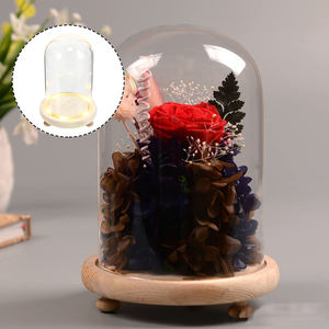 เครื่องประดับดอกกุหลาบที่เก็บรักษาไว้พร้อมฝาครอบโดมดอกไม้ไฟ LED สำหรับวันวาเลนไทน์คริสต์มาสงานแต่งงานดอกกุหลาบ<span class=keywords><strong>อมตะ</strong></span>จริง - Product Image 4