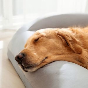 Pet Cushion Eco-Friendly Modern <b>Dog</b> Cat <b>Sofa</b> <b>Bed</b> Striped Backrest Anti-Slip Removable Cover Oxford Cloth Small Animals - Product Image 2