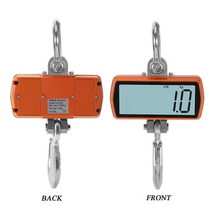 เครื่องชั่งเครนดิจิตอลราคาประหยัด พร้อมจอ LCD แสดงผลแบบ OEM ปรับแต่งได้ รองรับน้ำหนัก 1000 กก. - Product Image 4