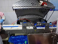 Machine à trancher automatique pour poitrines de poulet et de bœuf, moteur en acier inoxydable SUS304, usine de traitement haute efficacité 220/380/420V Longue portée