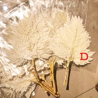 Every Love 3 Jenis Bunga Kering, Warna-warni Fern Daun Tandan Karangan Bunga Kering untuk Dekorasi Rumah Pernikahan