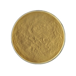 Extracto de Hongo Chanterelle (Cantarellus <span class=keywords><strong>Cibarius</strong></span>) en Polvo, 30% Polisacáridos, Grado Alimenticio, Extraído con Solvente, Empaquetado en Tambor, Alta Calidad - Product Image 4