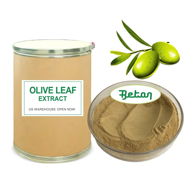 Rohstoff Oliven blattex trakt Maslin säure pulver