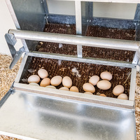 Tapis de nidification pour poulets en gros, tapis de sol pour volailles, tapis de poulailler, boîtes de nidification pour poules pondeuses
