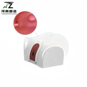 자궁경 훈련 모델 자궁경 중재 훈련 질 자궁 및 Adnexa 모델 - Product Image 2