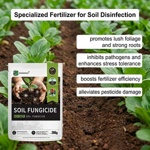 Engrais spécialisé pour la désinfection du <span class=keywords><strong>sol</strong></span>, engrais organique, engrais hydrosoluble, engrais pour le <span class=keywords><strong>sol</strong></span> - Product Image 4