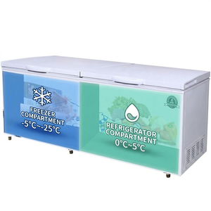 Congélateur coffre commercial à compartiments, optionnel, classe énergétique A, pour usage domestique, hôtelier et extérieur - Product Image 6