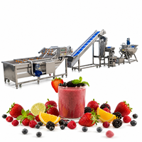 Lini Produksi Jus Buah Otomatis Penuh, Pabrik Pengolahan Selai dan Konsentrat Jus Nanas