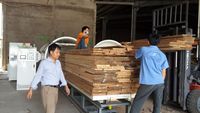 Chine Vente directe d'usine Petite machine à plastifier automatique sous vide à haute fréquence pour le traitement du bois à vendre au prix d'usine