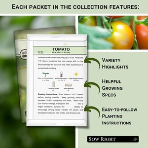 Collection de paquets de truies de tomates cerises légumes sans OGM <span class=keywords><strong>pour</strong></span> la maison potager noir rouge blanc Pots de fleurs jardinières - Product Image 2