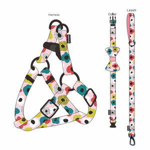 8-piece <b>pet</b> leash and dog walking leash set; <b>pet</b> supplies; dog <b>harness</b>, chest <b>harness</b>, Pomeranian leash set - Product Image 2