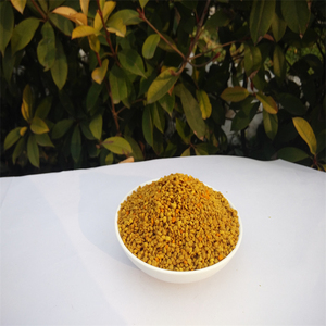 Polline di Grano Saraceno per Apicoltura e Consumo Umano - Product Image 6