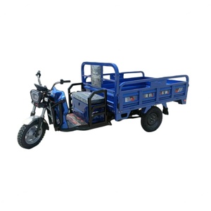 Factory Direct Sales 60V 1000W China Electric Cargo 3 Wheel Tricycle Adult Electric Tricycle for Cheap Sale - Product Image 1