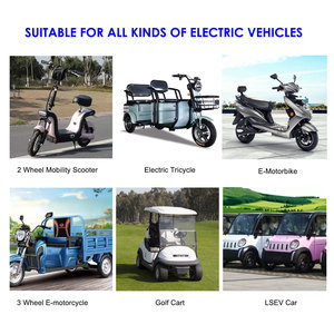 Batería de Iones de Litio Recargable para Motocicleta, 48V 51.2V 20Ah 30Ah 50Ah, 1000W 2000W, con BMS, para Scooter y Moto, DL-LFP-EM4830 Lit - Product Image 6