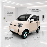 Voiture électrique compacte tendance, best-seller, 2 portes, 4 places, NEV pour les trajets urbains et les déplacements sur de courtes distances