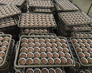 Rafraîchisseur d'air organique anti-déversement pour voiture 45-60 jours de longue durée California Extoica <span class=keywords><strong>Abro</strong></span> Fresh Scent - Product Image 5