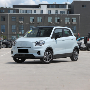 Auto Usata 2024 in Vendita Leapmotor T03 310km CLTC EV Hatchback Compatta 55kW 114Nm Batteria 31.9kWh Basso Consumo Ricarica Facile Auto Urbana - Product Image 1