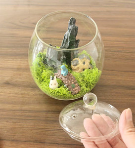 Terrario in Vetro da Tavolo con Coperchio in Sughero, Mini Vaso Decorativo per <span class=keywords><strong>Piante</strong></span> di Muschio e Fiori, Centrotavola - Product Image 2
