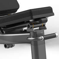 Banc de musculation commercial réglable personnalisable pour entraînement à haute/basse intensité