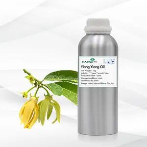 Factory Supply Ylang Pure Essential Oil 1kg Natural CANANGA ODORATA Ylang-Ylang Oil