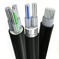 Cable XHHW-2 600V para uso en húmedo/seco, con aislamiento de FR-XLPE y cubierta de PVC, para conducto metálico y enterramiento directo en exteriores