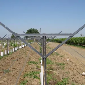 Factory V type Table Grape Plantation Trellis Crossarms Y shaped galvanized metal vineyard open gable trellis stake system