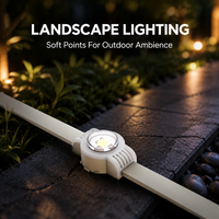 Vente en gros de lumières LED à pixels pour extérieur, Gemstone Light, DC12V DC5V 30mm RGB, lumières de Noël permanentes pour la décoration de la maison