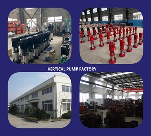 Stainless Steel Vertical Multistage Centrifugal CDL Clean Water Pump High Corrosion Resistant Industrial Use - Product Image 5