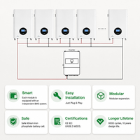 Batterie de stockage d'énergie domestique rechargeable, modulaire 5kWh 20kWh LiFePO4 51.2V 200Ah 400Ah murale hors réseau pour villa