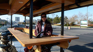 Vélo-bar mobile pour usine agroalimentaire 2025, 10 places, voiture électrique de tourisme, grand chariot à bière - Product Image 2