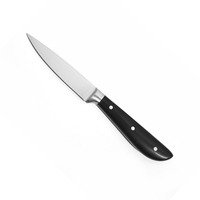 Xyj couteau de cuisine de 4 pouces 3CR14, manche en acier inoxydable ABS, couteau à fruits
