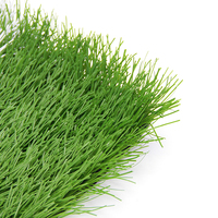 Gras Teppich Synthetischer Rasen Natürlich aussehend Realistisch All Climate Anti Slip Stadium Academy Athletic Grass