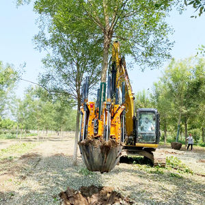 Machine avancée de bêche d'arbre de machines de foresterie efficace pour la transplantation et l'<span class=keywords><strong>arboriculture</strong></span> d'arbre - Product Image 1