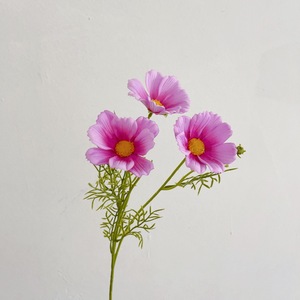 جودة عالية 3 رؤوس لمسة حقيقية الزخرفية اللاتكس كوزموس زهرة الأكثر شعبية للالإضافية التخرج عيد الأم عيد الفصح عيد الميلاد الجذعية - Product Image 4