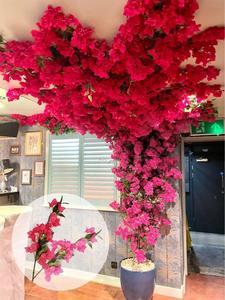 Venta al por mayor de tallo largo buganvillas plantas seda color artificial buganvillas de seda floral buganvillas para pared de flores - Product Image 4