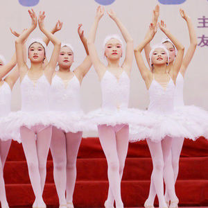 Robe de ballet pour enfants, blanche, Lago des cygnes, La Belle au bois dormant, robe tutu, petite robe de performance de <span class=keywords><strong>danse</strong></span> cygne pour adultes - Product Image 2