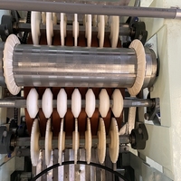 Équipement de pelage humide à haute capacité KLS - Machine industrielle de traitement de l'épluchage des cacahuètes et des haricots