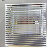 Porte enroulable transparente en polycarbonate, plaque PC, volet intérieur/extérieur, porte commerciale pour magasin, garage, devanture de commerce