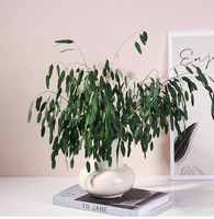 Vases en céramique au design minimaliste, haute valeur esthétique, durables, simples, pour table à manger, fleurs séchées, décoration intérieure