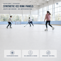 Panneaux de patinoire synthétique WLT en UHMWPE, dalles de glace artificielle emboîtables, pour usage commercial intérieur et extérieur