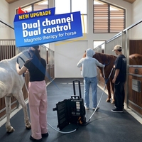 Tapis PEMF équin, machine de thérapie par champ électromagnétique pulsé pour chevaux, dispositif de récupération magnétique