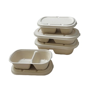 Sugarcane Bagasse Disposable Biodegradable Eco-Friendly 2 Compartment Bento Box For Lunch