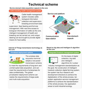 Technologie d'agriculture intelligente Vache Mouton Élevage Intelligent Mouton Rumen Capsules Ai <span class=keywords><strong>Bio</strong></span> Capsule Surveillance de la santé - Product Image 4