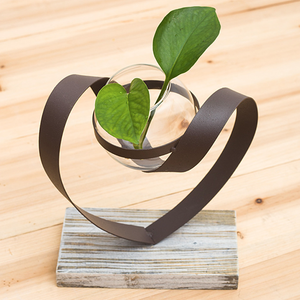 Vaso Moderno in Metallo <span class=keywords><strong>per</strong></span> Coltivazione Idroponica, Terrario in Vetro a Provetta <span class=keywords><strong>per</strong></span> Piante - Product Image 1